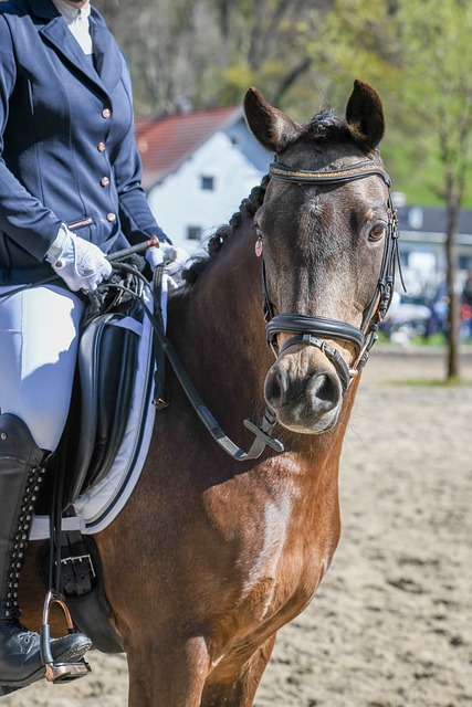 西媒：巴列卡诺球迷大巴在波兰遭50多人蒙面袭击，数人受伤