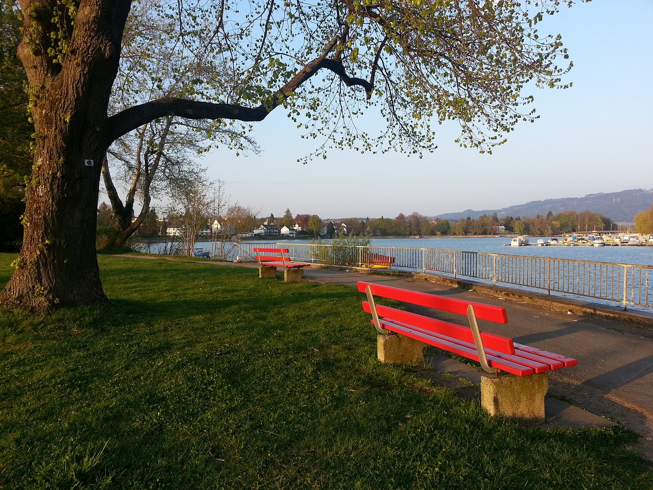 官方：韩国籍裁判执法海港客战英博，日本籍裁判执法申花客战津门虎