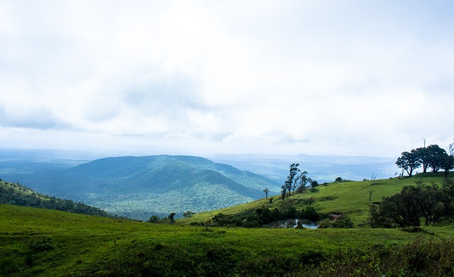 库库忆转会曼城失败：瓜帅点名我跪着去都行，但布莱顿要价高